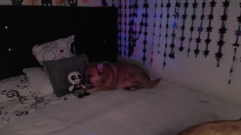 mia online show from 18, 2, 2026