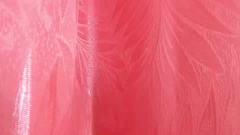 mia_nova5 online show from 5, 7, 2026