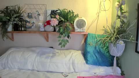 Snapshot of miaa_rose__ chatting on 20, 12, 2024 Miaa online show from 20, 12, 2024