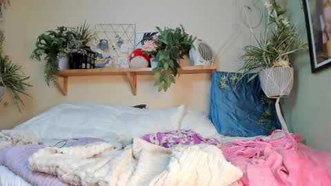 Snapshot of miaa_rose__ chatting on 20, 12, 2024 Miaa online show from 20, 12, 2024