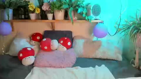 Miaa online show from 13, 3, 2026