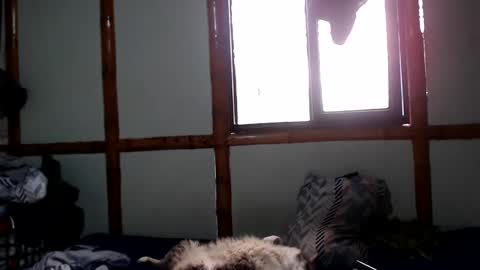 Snapshot of miahells chatting on 4, 10, 2025 Mia Sam online show from 4, 10, 2025