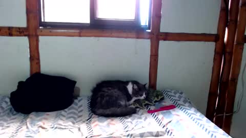 Snapshot of miahells chatting on 24, 11, 2025 Mia Sam online show from 24, 11, 2025