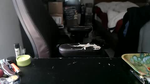 Snapshot of miaking chatting on 12, 10, 2025 Mark online show from 12, 10, 2025