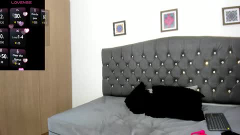 michellmorgans online show from 20, 3, 2026