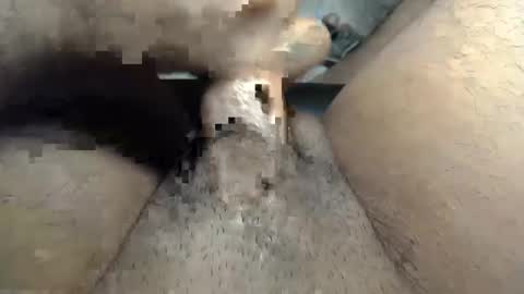 mickey21 online show from 5, 12, 2024