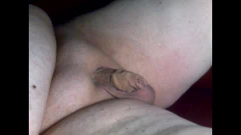 micropimmel online show from 19, 3, 2026