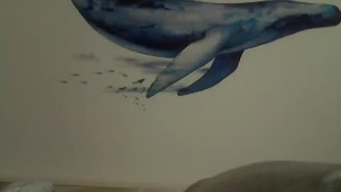 Snapshot of midhir chatting on 27, 2, 2025 kike online show from 27, 2, 2025