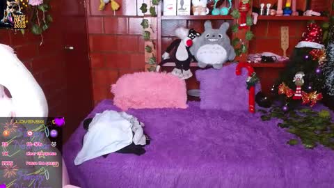 Midori 7u7 online show from 8, 1, 2026