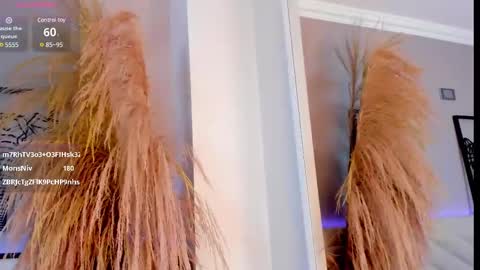   online show from 12, 3, 2025