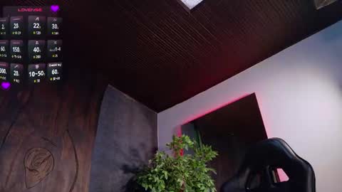 miia_sttone online show from 31, 7, 2026