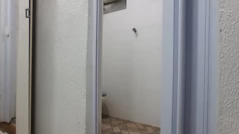 mike11343 online show from 6, 3, 2026