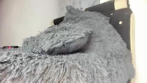 Snapshot of mila_dash chatting on 7, 2, 2025 Mila Dash online show from 7, 2, 2025