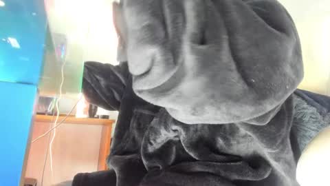 Snapshot of mila_dash chatting on 24, 9, 2025 Mila Dash online show from 24, 9, 2025