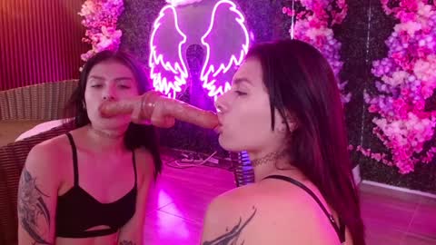 MILLA online show from 4, 12, 2024