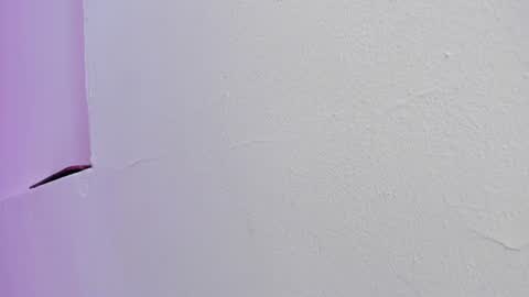 miller_silvana online show from 29, 7, 2026