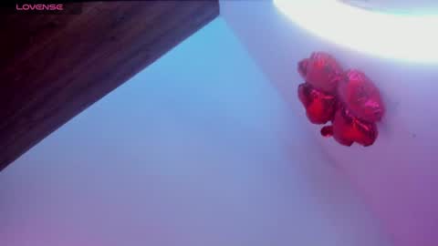 minami_nakamura online show from 27, 6, 2026