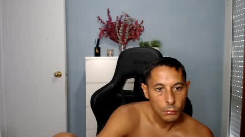 mini_pitbull online show from 25, 7, 2026