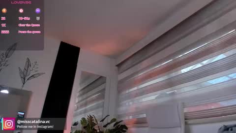 Catalina online show from 7, 11, 2025