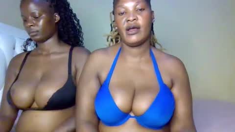 MILLY online show from 15, 4, 2026