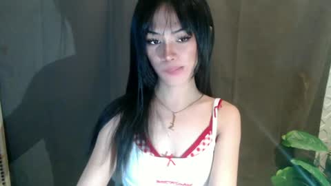 Moheera online show from 25, 6, 2026