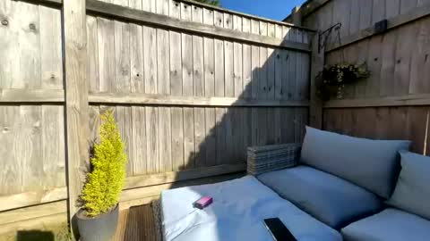 Snapshot of missalexxo chatting on 21, 3, 2026 Miss Alex online show from 21, 3, 2026