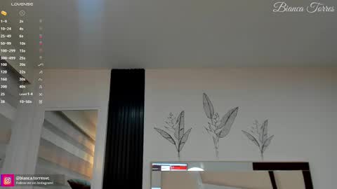 Bianca Torres online show from 14, 2, 2025