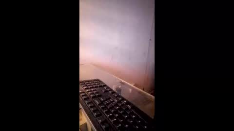 Avamlash online show from 11, 2, 2026