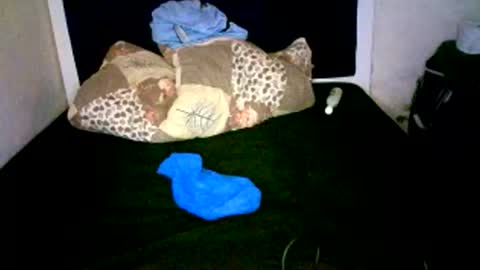 Snapshot of misscuteberry chatting on 7, 1, 2026 VAL online show from 7, 1, 2026