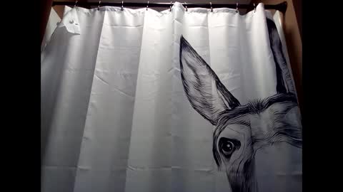 Snapshot of misseeva chatting on 5, 12, 2024 MissEeva online show from 5, 12, 2024