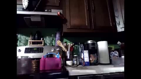 Snapshot of misseeva chatting on 14, 12, 2024 MissEeva online show from 14, 12, 2024