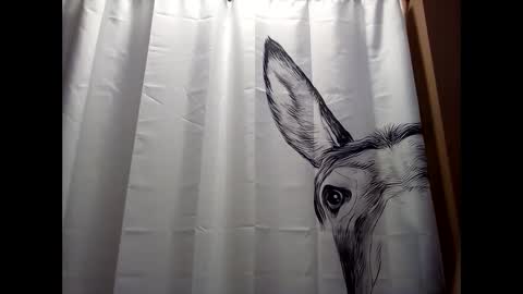 Snapshot of misseeva chatting on 19, 12, 2024 MissEeva online show from 19, 12, 2024