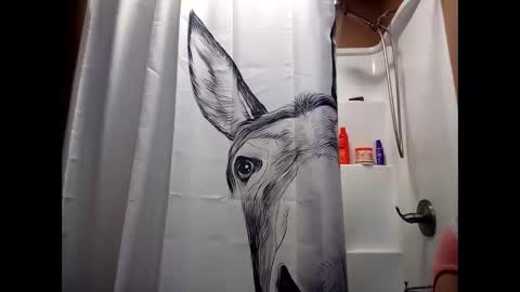 Snapshot of misseeva chatting on 28, 12, 2024 MissEeva online show from 28, 12, 2024