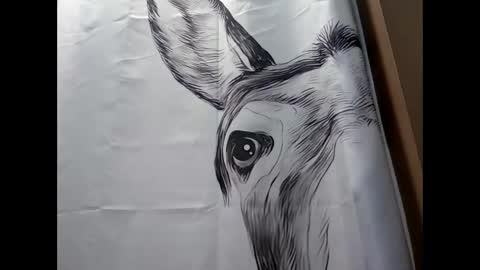 Snapshot of misseeva chatting on 17, 2, 2025 MissEeva online show from 17, 2, 2025