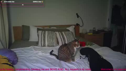 Snapshot of missemmbeex chatting on 2, 3, 2026 missemmbeex online show from 2, 3, 2026