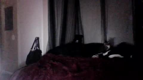 Snapshot of missgospelz_entertainmentz chatting on 27, 2, 2025 missgospel online show from 27, 2, 2025