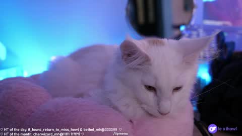 Lexi Bitch Tits Baked Goldfish Howl Miss Zero Remeber The First online show from 11, 1, 2025