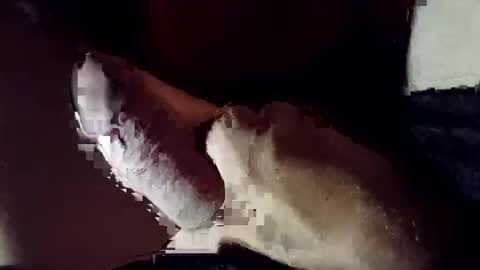 9POUNDHAMMER online show from 27, 4, 2026