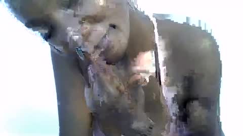 Snapshot of missmisbehave_irl chatting on 19, 1, 2026 sexy online show from 19, 1, 2026