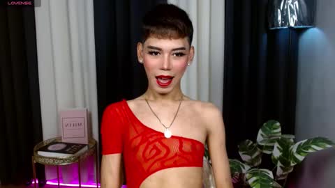 Stella online show from 17, 9, 2025