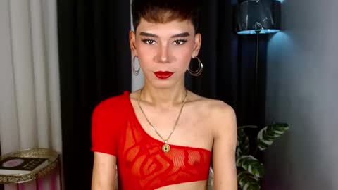 Stella online show from 21, 9, 2025