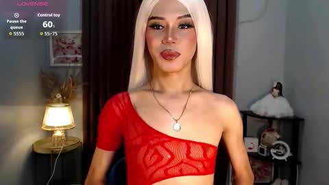 Stella online show from 8, 10, 2025