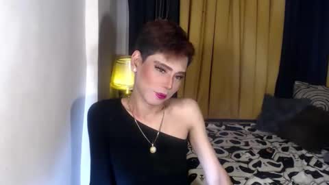 Stella online show from 4, 4, 2026