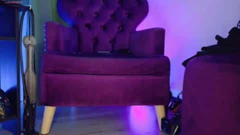Jhadee online show from 8, 8, 2026
