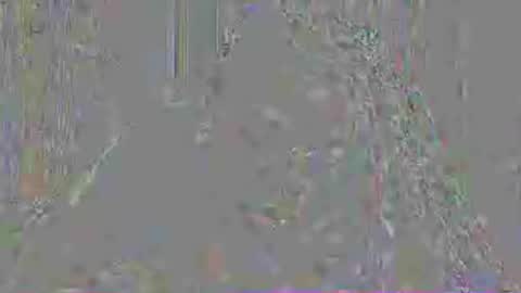 Snapshot of mistressmystii chatting on 3, 7, 2026 Mistress Mystii online show from 3, 7, 2026