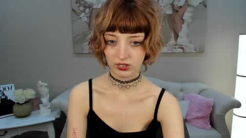 Misty online show from 3, 2, 2026