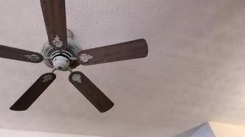 BobbyMitchGa online show from 23, 2, 2025