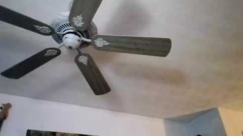 BobbyMitchGa online show from 27, 9, 2025