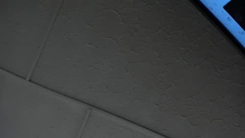 Hey Guys  Im Mollie online show from 14, 2, 2026