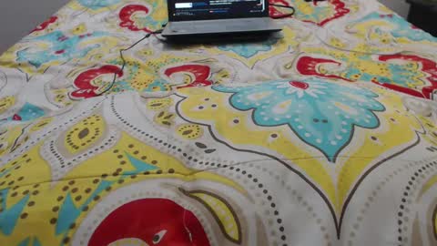 Molly And Brad online show from 20, 9, 2025